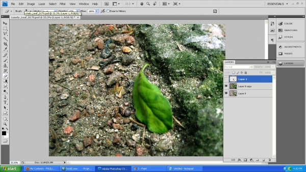 Creation of Lonely leaf: Step 1